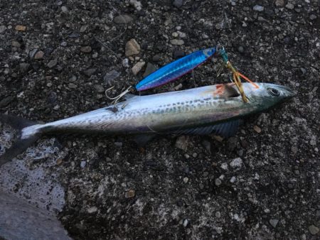 ライトゲームで4目